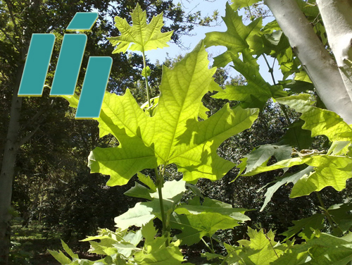 سیاست حفظ محیط زیست امارات متحده عربی در نرم افزار حسابداری آیگرین